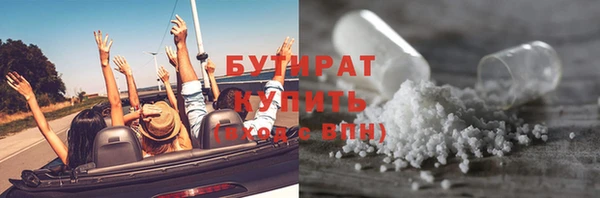 гашик Алексин
