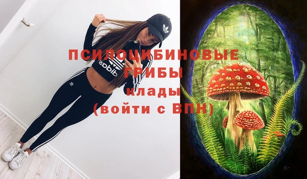 гашик Алексин