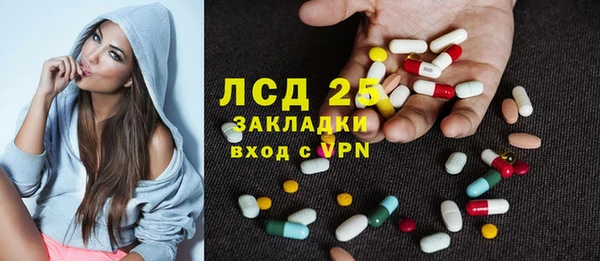 гашик Алексин