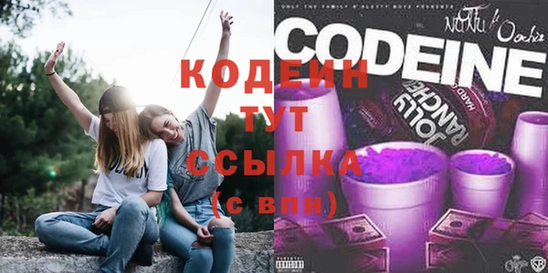 гашик Алексин