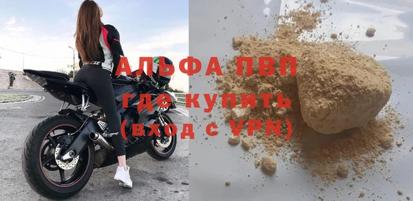 гашик Алексин