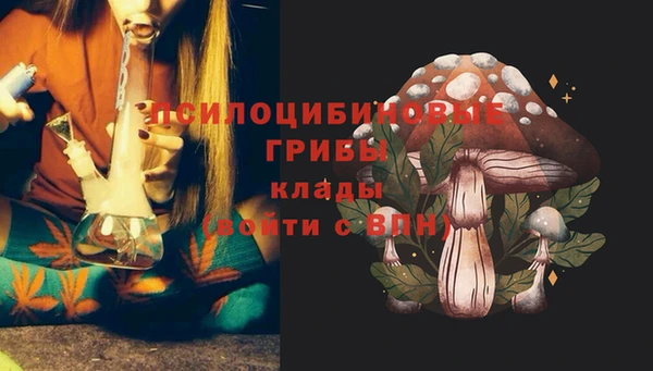 гашик Алексин