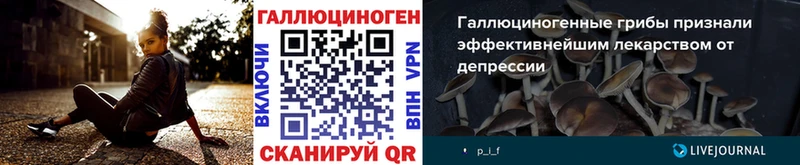 где найти наркотики  Октябрьский  Галлюциногенные грибы Psilocybe 