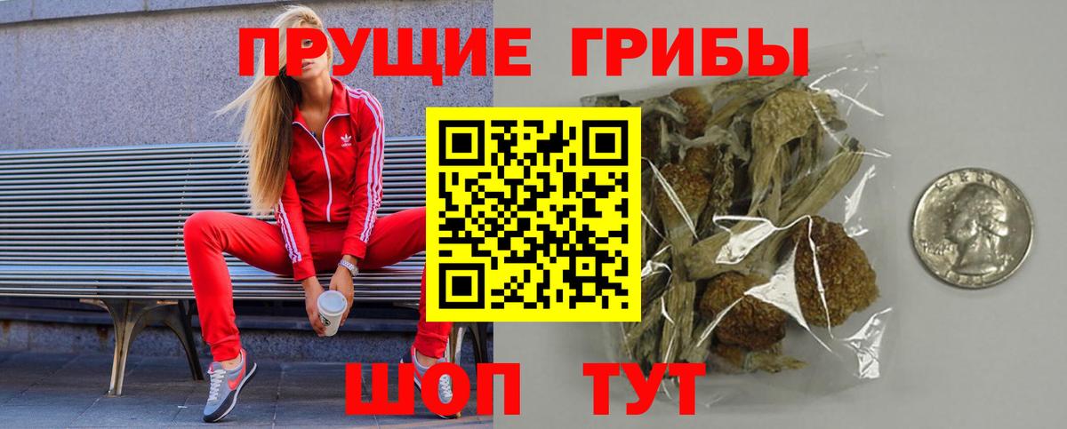 Октябрьский  Псилоцибиновые грибы Psilocybe  Вход с VPN 